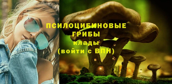 apvp Бугульма