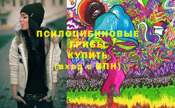 прущая мука Бородино